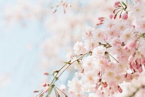 Imagem do depoimento